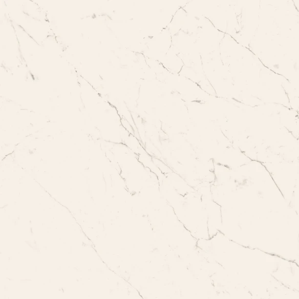 Carrara Joy